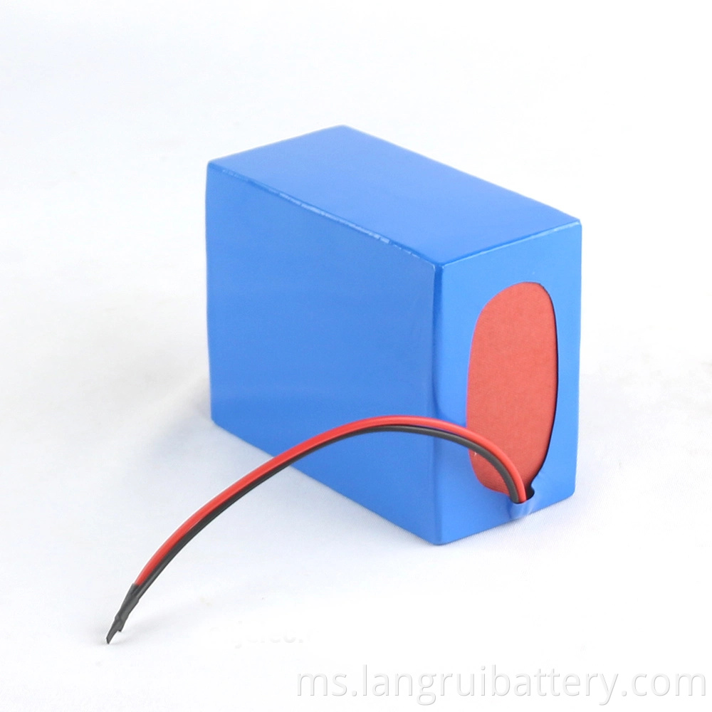 Hot Sale 12V Lithium Ion Battery